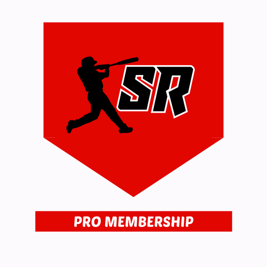 12-month Pro Membership - 24/7 Support